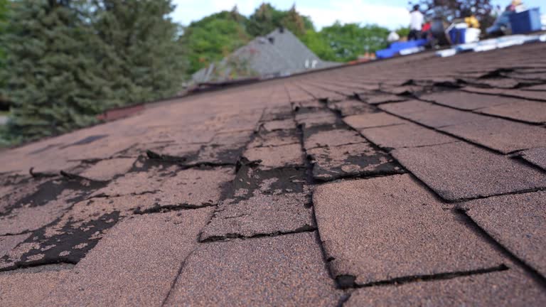 Best Roof Coating and Sealing  in Lemon Grove, CA