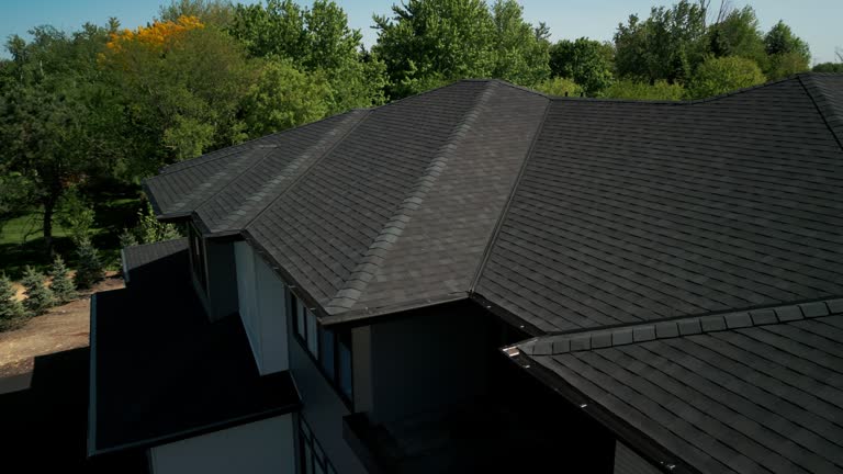 Best Roof Insulation Installation  in Lemon Grove, CA